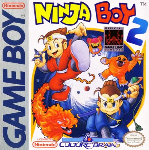 Ninja Boy 2